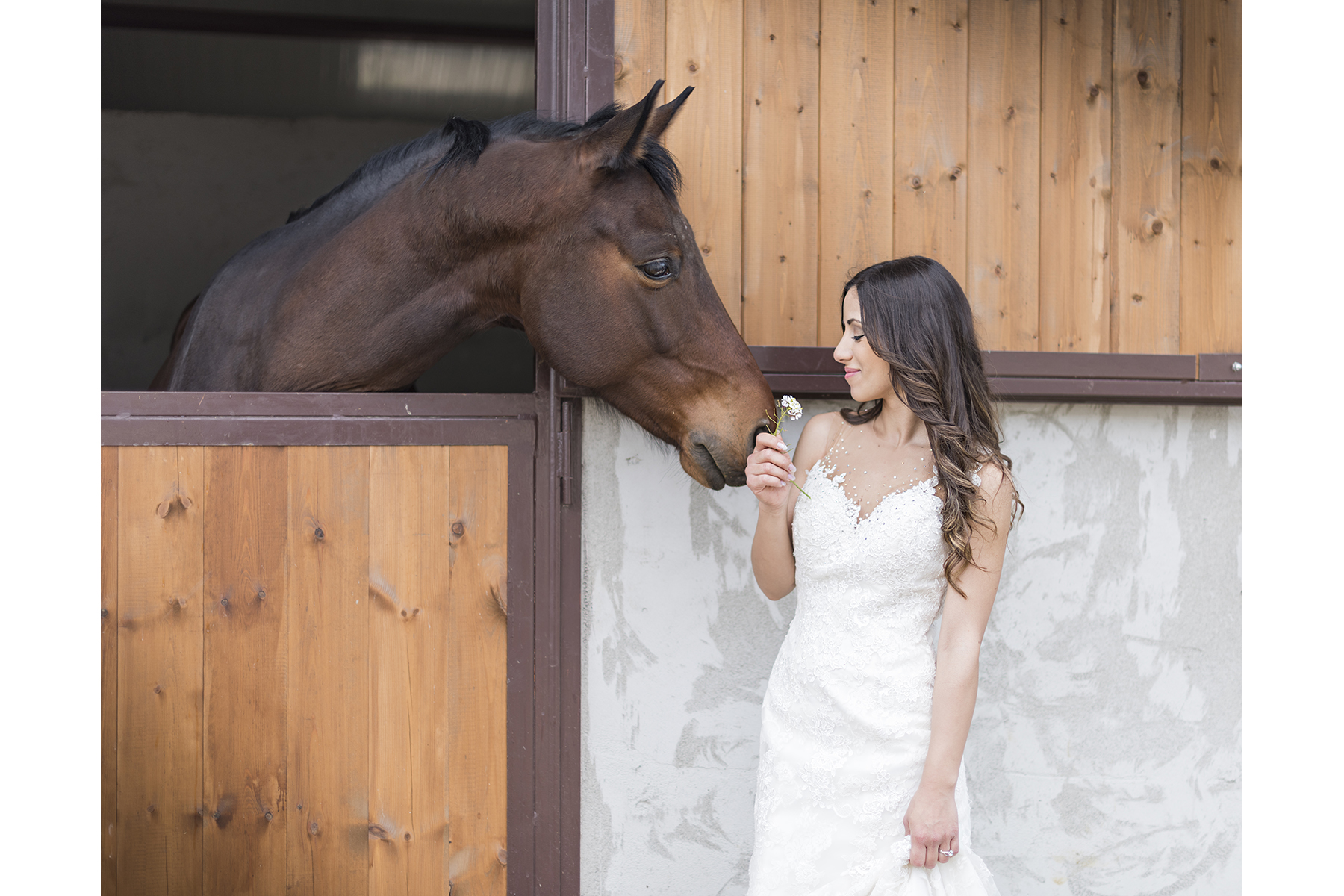 Servizio fotografico - Matrimonio - Stefania Dobrin